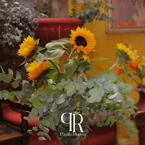 Hotel Pasillo Rholyn, Antigua